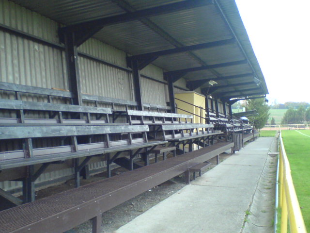 Tribuna